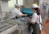 Flight-Type Dishwasher: Centralized Dishwashing for Hotels
